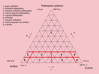 Feldespato potásico
Anfibol
Cuarzo
1: gneis anfibólico
2: anfibolita feldespática
3: esquisto anfibólico-feldespático
4: cuarzo-esquisto feldespático
5: cuarcita feldespática
6: anfibolita
7: esquisto anfibólico
8: cuarzo-esquisto con anfibol
9: cuarcita
1
2 3 4 5
6 7 8 9
 