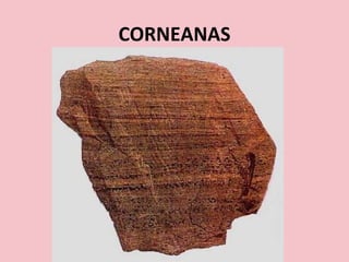 CORNEANAS
 