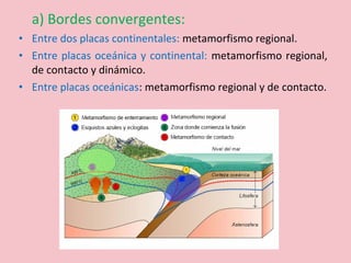 a) Bordes convergentes:
• Entre dos placas continentales: metamorfismo regional.
• Entre placas oceánica y continental: metamorfismo regional,
de contacto y dinámico.
• Entre placas oceánicas: metamorfismo regional y de contacto.
 