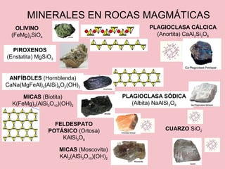 MINERALES EN ROCAS MAGMÁTICAS
OLIVINO
(FeMg)2SiO4
PIROXENOS
(Enstatita) MgSiO3
ANFÍBOLES (Hornblenda)
CaNa(MgFeAl)5(AlSi)8O2(OH)2
MICAS (Moscovita)
KAl2(AlSi3O10)(OH)2
MICAS (Biotita)
K(FeMg)3(AlSi3O10)(OH)2
PLAGIOCLASA CÁLCICA
(Anortita) CaAl2Si2O8
PLAGIOCLASA SÓDICA
(Albita) NaAlSi3O8
FELDESPATO
POTÁSICO (Ortosa)
KAlSi3O8
CUARZO SiO2
 