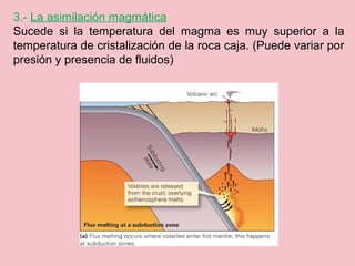 3.- La asimilación magmática
Sucede si la temperatura del magma es muy superior a la
temperatura de cristalización de la roca caja. (Puede variar por
presión y presencia de fluidos)
 