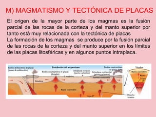 El origen de la mayor parte de los magmas es la fusión
parcial de las rocas de la corteza y del manto superior por
tanto está muy relacionada con la tectónica de placas
La formación de los magmas se produce por la fusión parcial
de las rocas de la corteza y del manto superior en los límites
de las placas litosféricas y en algunos puntos intraplaca.
M) MAGMATISMO Y TECTÓNICA DE PLACAS
 