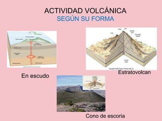ACTIVIDAD VOLCÁNICA
SEGÚN SU FORMA
En escudo
Cono de escoria
Estratovolcan
 