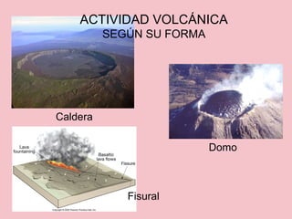 Caldera
Domo
Fisural
ACTIVIDAD VOLCÁNICA
SEGÚN SU FORMA
 