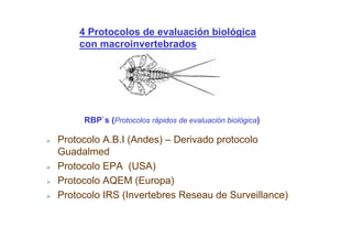 4 Protocolos de evaluación biológica
    con macroinvertebrados




     RBP`s (Protocolos ràpidos de evaluación biológica)

Protocolo A.B.I (Andes) – Derivado protocolo
Guadalmed
Protocolo EPA (USA)
Protocolo AQEM (Europa)
Protocolo IRS (Invertebres Reseau de Surveillance)
 