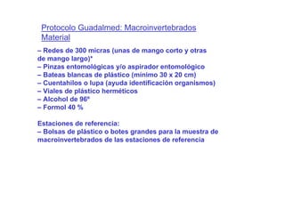 Protocolo Guadalmed: Macroinvertebrados
 Material
– Redes de 300 micras (unas de mango corto y otras
de mango largo)*
– Pinzas entomológicas y/o aspirador entomológico
– Bateas blancas de plástico (mínimo 30 x 20 cm)
– Cuentahilos o lupa (ayuda identificación organismos)
– Viales de plástico herméticos
– Alcohol de 96º
– Formol 40 %

Estaciones de referencia:
– Bolsas de plástico o botes grandes para la muestra de
macroinvertebrados de las estaciones de referencia
 