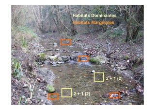 Habitats Dominantes
Habitats Marginales




               2 + 1 (2)


2 + 1 (2)
 
