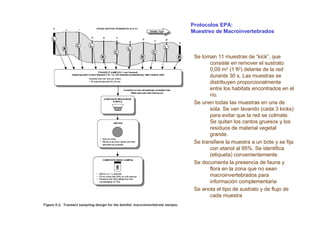Protocolos EPA:
Muestreo de Macroinvertebrados



 Se toman 11 muestras de “kick”, que
        consiste en remover el sustrato
        0,09 m2 (1 ft2) delante de la red
        durante 30 s. Las muestras se
        distribuyen proporcionalmente
        entre los habitats encontrados en el
        río.
 Se unen todas las muestras en una de
        sola. Se van lavando (cada 3 kicks)
        para evitar que la red se colmate.
        Se quitan los cantos gruesos y los
        residuos de material vegetal
        grande.
 Se transfiere la muestra a un bote y se fija
        con etanol al 95%. Se identifica
        (etiqueta) convenientemente.
 Se documenta la presencia de fauna y
        flora en la zona que no sean
        macroinvertebrados para
        información complementaria
 Se anota el tipo de sustrato y de flujo de
        cada muestra
 