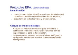 Protocolos EPA: Macroinvertebrados
Identificación
   Los individuos deben identificarse al mas detallado nivel
   taxonómico posible (depende de la métrica a utilizar).
   Etiquetar bien todos los viales y preparaciones.


Cálculo de índices-métricas
  Calcular las métricas necesarias para proceder a la
  calificación de la calidad del agua de acuerdo con las
  especificaciones para cada ecoregión.
  Se pueden usar métricas simples (índices biológicos) o
  agregación de métricas (que son diferentes según las
  ecoregiones).
 