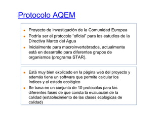 Protocolo AQEM
  Proyecto de investigación de la Comunidad Europea
  Podría ser el protocolo “oficial” para los estudios de la
  Directiva Marco del Agua
  Inicialmente para macroinvertebrados, actualmente
  está en desarrollo para diferentes grupos de
  organismos (programa STAR).


  Está muy bien explicado en la página web del proyecto y
  además tiene un software que permite calcular los
  índices y el estado ecológico
  Se basa en un conjunto de 10 protocolos para las
  diferentes fases de que consta la evaluación de la
  calidad (establecimiento de las clases ecológicas de
  calidad)
 