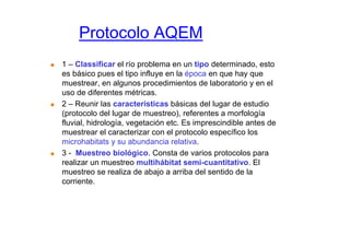 Protocolo AQEM
1 – Classificar el río problema en un tipo determinado, esto
es básico pues el tipo influye en la época en que hay que
muestrear, en algunos procedimientos de laboratorio y en el
uso de diferentes métricas.
2 – Reunir las características básicas del lugar de estudio
(protocolo del lugar de muestreo), referentes a morfología
fluvial, hidrología, vegetación etc. Es imprescindible antes de
muestrear el caracterizar con el protocolo específico los
microhabitats y su abundancia relativa.
3 - Muestreo biológico. Consta de varios protocolos para
realizar un muestreo multihábitat semi-cuantitativo. El
muestreo se realiza de abajo a arriba del sentido de la
corriente.
 