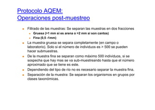 Protocolo AQEM:
Operaciones post-muestreo
   Filtrado de las muestras: Se separan las muestras en dos fracciones
      Gruesa (>1 mm si es arena o >2 mm si son cantos)
      Fina (0,5 -1mm)
   La muestra gruesa se separa completamente (en campo o
   laboratorio). Solo si el número de individuos es > 500 se pueden
   hacer submuestras.
   De la muestra fina se separan como máximo 500 individuos, si se
   sospecha que hay mas se va sub-muestreando hasta que el número
   aproximado que se tiene es este.
   Dependiendo del tipo de río no es necesario separar la muestra fina.
   Separación de la muestra: Se separan los organismos en grupos por
   clases taxonómicas.
 