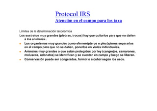 Protocol IRS
                        Atención en el campo para los taxa

Límites de la determinación taxonómica
Los sustratos muy grandes (piedras, trocos) hay que quitarlos para que no dañen
   a los animales..
   Los organismos muy grandes como efemerópteros o plecópteros separarlos
   en el campo para que no se dañen, ponerlos en viales individuales.
   Animales muy grandes o que están protegidos por ley (cangrejos, camarones,
   moluscos, odonatos) se identifican y se cuentan en campo y luego se liberan.
   Conservación puede ser congelados, formol o alcohol según los usos.
 