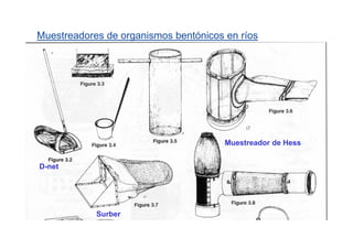 Muestreadores de organismos bentónicos en ríos




                                       Muestreador de Hess


D-net




            Surber
 