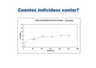 Cuantos individuos contar?

                    (Colombia)
 