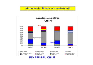 Abundancia: Puede ser también útil


                        Abundancias relativas
                              (Orden)

                           Trichoptera
100%
 90%
 80%
 70%
 60%
 50%
 40%                 Ephemeroptera
 30%
 20%                                     Diptera
 10%
  0%
           GRUPO 1             GRUPO 2         GRUPO 3       GRUPO 4


 A RA CNIDA             COLEOP TERA       CRUSTA CEA      DIP TERA
 EP HEM EROP TERA       HEEROP TERA       LEP IDOP TERA   M EGA LOP TERA
 M OLLUSCA              ODONA TA          A NNELIDA       TRICHOP TERA


             RIO PEU-PEU CHILE
 