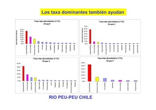 (abundancia relativa)




                                       0,00
                                                 10,00
                                                             20,00
                                                                             30,00
                                                                                             40,00
                                                                                                         50,00
                                                                                                                                                                   0,00
                                                                                                                                                                   5,00
                                                                                                                                                                  10,00
                                                                                                                                                                  15,00
                                                                                                                                                                  20,00
                                                                                                                                                                  25,00
                                                                                                                                                                  30,00
                                                                                                                                                                  35,00
                     Leptophlebiidae

                                                                                                                                               Leptophlebiidae
                       Chironomidae

                                                                                                                                                 Chironomidae
                       Leptoceridae

                                                                                                                                               Hydropsychidae
                    Hydropsychidae

                                                                                                                                                 Leptoceridae
                        Oligochaeta

                                                                                                                                                       Elmidae
                        Corydalidae

                                                                                                                                                     Chilinidae
                       Psephenidae




                                                                                                                          Grupo 3
                                                                                                                                                                                                                                            Grupo1




                                                                                                                                                      Aeglidae
                              Acari

                                                                                                                                                 Limnephilidae
                           Aeglidae

                           Baetidae                                                                              Taxa mas abundantes (>1%)             Sialidae
                                                                                                                                                                                                                                   Taxa mas abundantes (>1%)




                                                                                                                                                   Oligochaeta
                            Elmidae

                                                                                                                                                  Hydroptilidae
                          Empididae

                                                                                                                                                    Hyalellidae
                    Sericostomatidae

                                                                                                                                                      Baetidae
                            Sialidae



                                                                                                                                                                         (abundancia relativa)
                                      0,00
                                              10,00
                                                         20,00
                                                                     30,00
                                                                                     40,00
                                                                                                 50,00
                                                                                                           60,00
                                                                                                                                                                  0,00
                                                                                                                                                                         10,00
                                                                                                                                                                                 20,00
                                                                                                                                                                                         30,00
                                                                                                                                                                                                 40,00
                                                                                                                                                                                                         50,00
                                                                                                                                                                                                                 60,00
                                                                                                                                                                                                                         70,00




                    Leptophlebiidae
                                                                                                                                               Leptophlebiidae




RIO PEU-PEU CHILE
                                                                                                                                                 Chironomidae

                    Hydropsychidae
                                                                                                                                               Hydropsychidae

                                                                                                                                                  Oligochaeta
                        Corydalidae
                                                                                                                                               Oniscigastridae

                                                                                                                                                   Gomphidae
                           Baetidae
                                                                                                                            Grupo 4




                                                                                                                                                   Hirudinidae
                                                                                                                                                                                                                                          Grupo 2




                                                                                                                                                   Sphaeridae
                      Chironomidae
                                                                                                                   Taxa mas abundantes (>1%)




                                                                                                                                                      Aeglidae
                                                                                                                                                                                                                                 Taxa mas abundantes (>1%)
                                                                                                                                                                                                                                                               Los taxa dominantes también ayudan




                                                                                                                                                  Helicophidae
                       Leptoceridae
                                                                                                                                                     Chilinidae

                                                                                                                                                Hydrobiosidae
                       Psephenidae
                                                                                                                                                 Leptoceridae
 