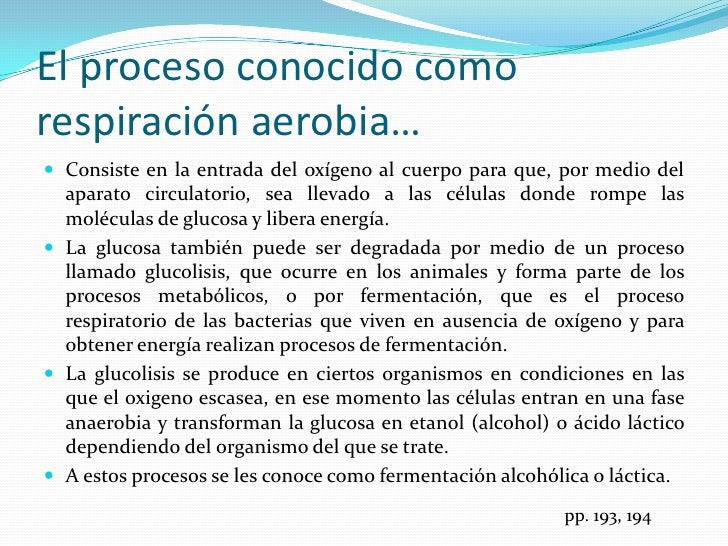 Bloque 3 2 2 RespiracióN Aerobia Y Anaerobia Bloque 3 2 2 RespiracióN Aerobia Y Anaerobia