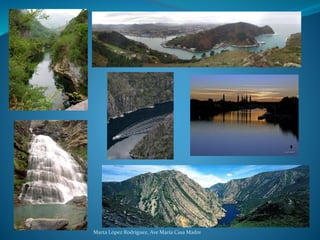 Marta López Rodríguez, Ave María Casa Madre
 