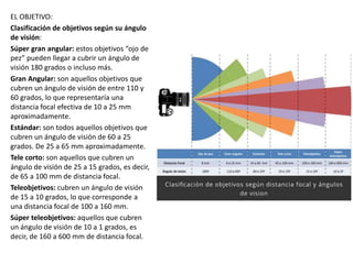 EL OBJETIVO:
Clasificación de objetivos según su ángulo
de visión:
Súper gran angular: estos objetivos “ojo de
pez” pueden llegar a cubrir un ángulo de
visión 180 grados o incluso más.
Gran Angular: son aquellos objetivos que
cubren un ángulo de visión de entre 110 y
60 grados, lo que representaría una
distancia focal efectiva de 10 a 25 mm
aproximadamente.
Estándar: son todos aquellos objetivos que
cubren un ángulo de visión de 60 a 25
grados. De 25 a 65 mm aproximadamente.
Tele corto: son aquellos que cubren un
ángulo de visión de 25 a 15 grados, es decir,
de 65 a 100 mm de distancia focal.
Teleobjetivos: cubren un ángulo de visión
de 15 a 10 grados, lo que corresponde a
una distancia focal de 100 a 160 mm.
Súper teleobjetivos: aquellos que cubren
un ángulo de visión de 10 a 1 grados, es
decir, de 160 a 600 mm de distancia focal.
 