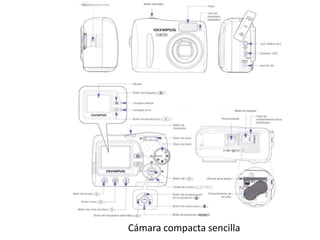 Cámara compacta sencilla
 
