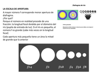 LA ESCALA DE APERTURA
A mayor número f corresponde menor apertura de
diafragma.
¿Por qué?
Porque el número en realidad procede de una
fracción: la longitud focal dividida por el diámetro del
iris (pupila de entrada de luz). Si el iris es pequeño, el
número f es grande (cabe más veces en la longitud
focal)
Cada apertura más pequeña tiene un área la mitad
de grande que la anterior
 