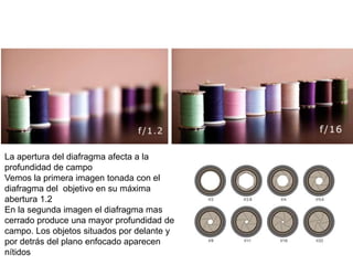 La apertura del diafragma afecta a la
profundidad de campo
Vemos la primera imagen tonada con el
diafragma del objetivo en su máxima
abertura 1.2
En la segunda imagen el diafragma mas
cerrado produce una mayor profundidad de
campo. Los objetos situados por delante y
por detrás del plano enfocado aparecen
nítidos
 