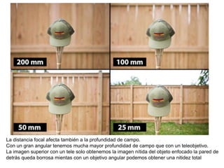 La distancia focal afecta también a la profundidad de campo.
Con un gran angular tenemos mucha mayor profundidad de campo que con un teleobjetivo.
La imagen superior con un tele solo obtenemos la imagen nítida del objeto enfocado la pared de
detrás queda borrosa mientas con un objetivo angular podemos obtener una nitidez total
 