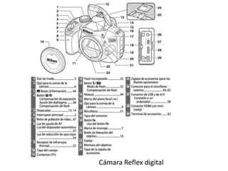 Cámara Reflex digital
 