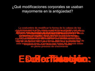 ¿Qué modificaciones corporales se usaban mayormente en la antigüedad? Dibujos que se graban en la piel humana”  introduciendo materiales colorantes bajo la epidermis, por punzadas previamente dispuestas en un diseño  Tatuaje: Agujeros que se hacen en distintas partes del cuerpo donde se incrustan objetos de joyería en diferentes metales  Perforación: La marca como sello, signo o señal tiene relación con el tatuaje, máxime si es corporal, en forma de pintura o de ornamento (insignia). Tales marcas pueden tener un significado ocasional, derivado de una circunstancia (luto, rito de iniciación, etc.) pero su sentido más profundo las emparenta con las cicatrices, como huella   Escarcificación: La costumbre de modificar la forma de la cabeza de los recién nacidos, fue una costumbre muy arraigada y difundida entre todos los pueblos de México . Esta práctica es posible realizarla en niños pequeños, cuando es fácil moldear la cabeza, debido a la plasticidad de esta estructura ósea, y porque casi todos los huesos están en pleno proceso de crecimiento   Deformación: 