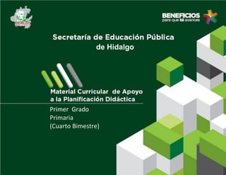 Primer Grado
Primaria
(Cuarto Bimestre)
de Hidalgo
 
