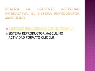 REALIZA LA SIGUIENTE ACTIVIDAD INTERACTIVA. el sistema reproductor masculinoEJERCICIO RELACIONADO CON EL TEMA 1.1SISTEMA REPRODUCTOR MASCULINO ACTIVIDAD FORMATO CLIC 3.0
