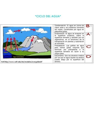 *CICLO DEL AGUA*
 