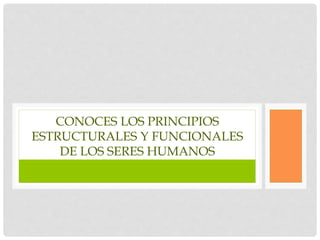 CONOCES LOS PRINCIPIOS
ESTRUCTURALES Y FUNCIONALES
DE LOS SERES HUMANOS
 