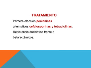 TRATAMIENTO
Primera elección penicilinas
alternativos cefalosporinas y tetraciclinas.
Resistencia antibiótica frente a
betalactámicos.
 