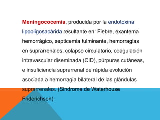 Meningococemia, producida por la endotoxina
lipooligosacárida resultante en: Fiebre, exantema
hemorrágico, septicemia fulminante, hemorragias
en suprarrenales, colapso circulatorio, coagulación
intravascular diseminada (CID), púrpuras cutáneas,
e insuficiencia suprarrenal de rápida evolución
asociada a hemorragia bilateral de las glándulas
suprarrenales. (Sindrome de Waterhouse
Friderichsen)
 