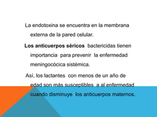 La endotoxina se encuentra en la membrana
externa de la pared celular.
Los anticuerpos séricos bactericidas tienen
importancia para prevenir la enfermedad
meningocócica sistémica.
Así, los lactantes con menos de un año de
edad son más susceptibles a al enfermedad
cuando disminuye los anticuerpos maternos.
 