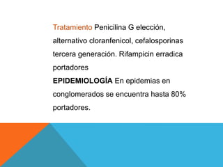 Tratamiento Penicilina G elección,
alternativo cloranfenicol, cefalosporinas
tercera generación. Rifampicin erradica
portadores
EPIDEMIOLOGÍA En epidemias en
conglomerados se encuentra hasta 80%
portadores.
 