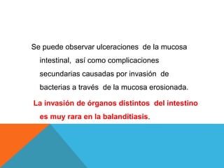Se puede observar ulceraciones de la mucosa
intestinal, así como complicaciones
secundarias causadas por invasión de
bacterias a través de la mucosa erosionada.
La invasión de órganos distintos del intestino
es muy rara en la balanditiasis.
 