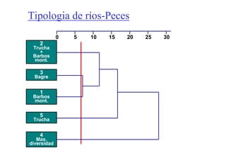 Tipologia de ríos-Peces
             0   5   10   15   20   25   30
    2
 Trucha
    +
 Barbos
  mont.

    3
  Bagre


    1
 Barbos
  mont.


    5
 Trucha


    4
   Max.
diversidad
 