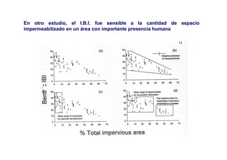 En otro estudio, el I.B.I. fue sensible a la cantidad de espacio
impermeabilizado en un área con importante presencia humana
 