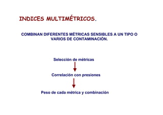 INDICES MULTIMÉTRICOS.

COMBINAN DIFERENTES MÉTRICAS SENSIBLES A UN TIPO O
            VARIOS DE CONTAMINACIÓN.




              Selección de métricas


             Correlación con presiones



        Peso de cada métrica y combinación
 