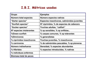 I.B.I. Métricas usadas

Grupo                       Ejemplos
Número total especies       Número especies nativas
“Darter species”            Especies insectívoras, salmónidos juveniles
“Sunfish species”           Nº ciprínidos, % de especies de cabecera
“Sucker species”            Truchas adultas, “catfish”
Nº especies intolerantes    % sp sensibles, % sp anfibias..
%Green sunfish              % carpas comunes, % sp tolerantes
%Omnivoros                  % generalistas
% ciprínidos insectívoros   Truchas juveniles, % insectívoros
% carnívoros                % de salmónidos pescables, % sp pioneras
Número ind/esfuerzo         Densidad, % especies abundantes
% Híbridos                  % especies introducidas, % nativas
% individuos enfermos
Biomasa total de peces
 