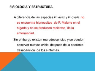 FISIOLOGÍA Y ESTRUCTURA
A diferencia de las especies P. vivax y P. ovale no
se encuentra hipnozoitos de P. Malarie en el
hígado y no se producen recidivas de la
enfermedad.
Sin embargo existen recrudescencias y se pueden
observar nuevas crisis después de la aparente
desaparición de los síntomas.
 