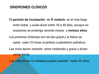 SÍNDROMES CLÍNICOS
El período de incubación de P. malarie es el más largo
entre todos y suele durar entre 18 a 40 días, aunque en
ocasiones se prolonga durante meses o incluso años.
Los primeros síntomas son de tipo gripal y la fiebre se
repite cada 72 horas (cuartana o paludismo palúdico).
Las crisis tienen carácter entre moderado y grave y duran
varias horas.
Las infecciones no tratadas pueden persistir hasta 20 años.
 