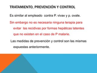 TRATAMIENTO, PREVENCIÓN Y CONTROL
Es similar al empleado contra P. vivax y p. ovale.
Sin embargo no es necesaria ninguna terapia para
evitar las recidivas por formas hepáticas latentes
que no existen en el caso de P malarie.
Las medidas de prevención y control son las mismas
expuestas anteriormente.
 