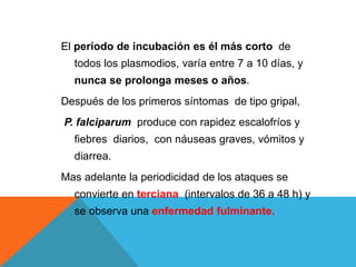 El período de incubación es él más corto de
todos los plasmodios, varía entre 7 a 10 días, y
nunca se prolonga meses o años.
Después de los primeros síntomas de tipo gripal,
P. falciparum produce con rapidez escalofríos y
fiebres diarios, con náuseas graves, vómitos y
diarrea.
Mas adelante la periodicidad de los ataques se
convierte en terciana (intervalos de 36 a 48 h) y
se observa una enfermedad fulminante.
 