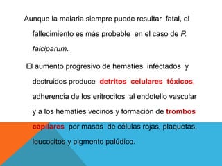 Aunque la malaria siempre puede resultar fatal, el
fallecimiento es más probable en el caso de P.
falciparum.
El aumento progresivo de hematíes infectados y
destruidos produce detritos celulares tóxicos,
adherencia de los eritrocitos al endotelio vascular
y a los hematíes vecinos y formación de trombos
capilares por masas de células rojas, plaquetas,
leucocitos y pigmento palúdico.
 