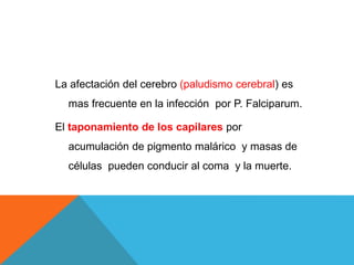 La afectación del cerebro (paludismo cerebral) es
mas frecuente en la infección por P. Falciparum.
El taponamiento de los capilares por
acumulación de pigmento malárico y masas de
células pueden conducir al coma y la muerte.
 