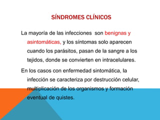 SÍNDROMES CLÍNICOS
La mayoría de las infecciones son benignas y
asintomáticas, y los síntomas solo aparecen
cuando los parásitos, pasan de la sangre a los
tejidos, donde se convierten en intracelulares.
En los casos con enfermedad sintomática, la
infección se caracteriza por destrucción celular,
multiplicación de los organismos y formación
eventual de quistes.
 